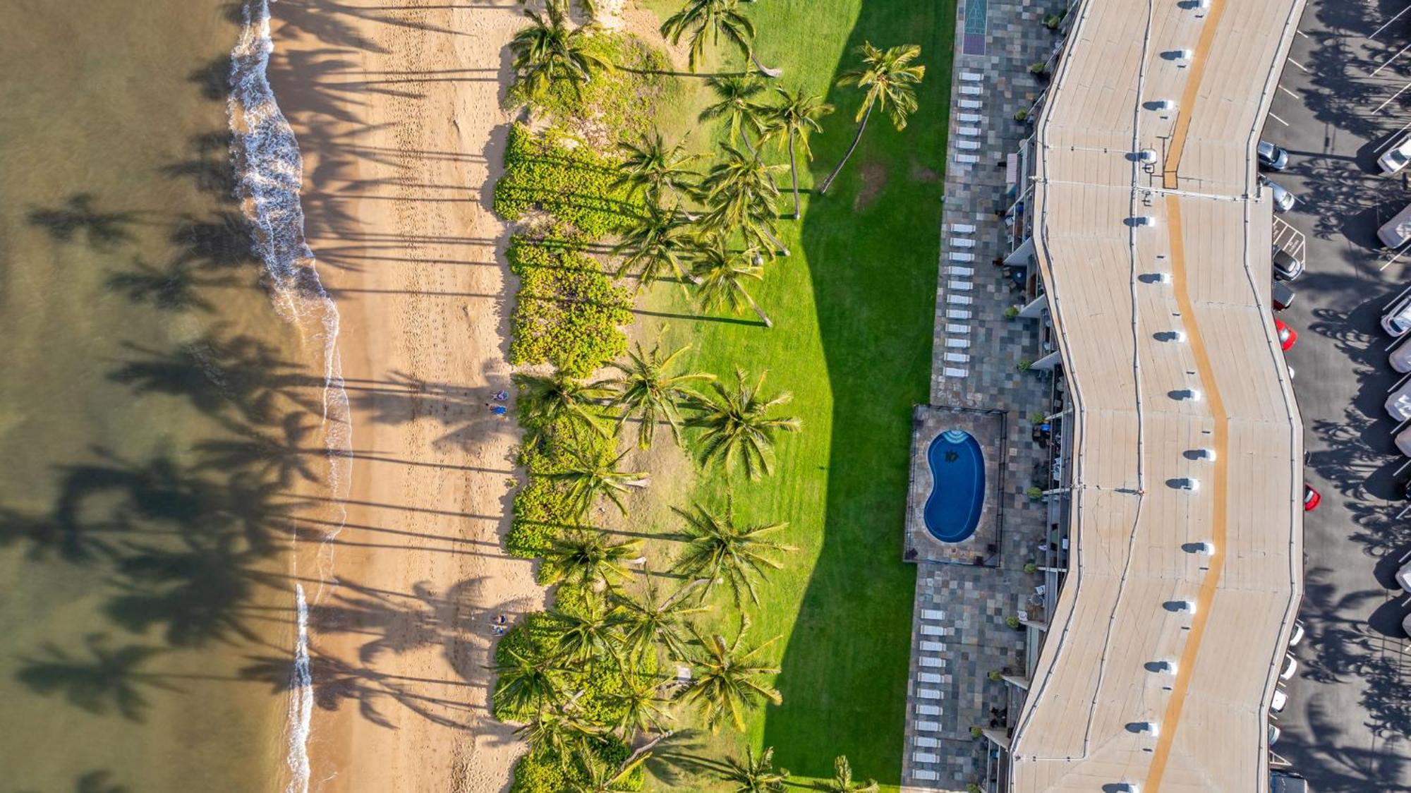 Hale Kai O'Kihei 118 Villa Eksteriør billede