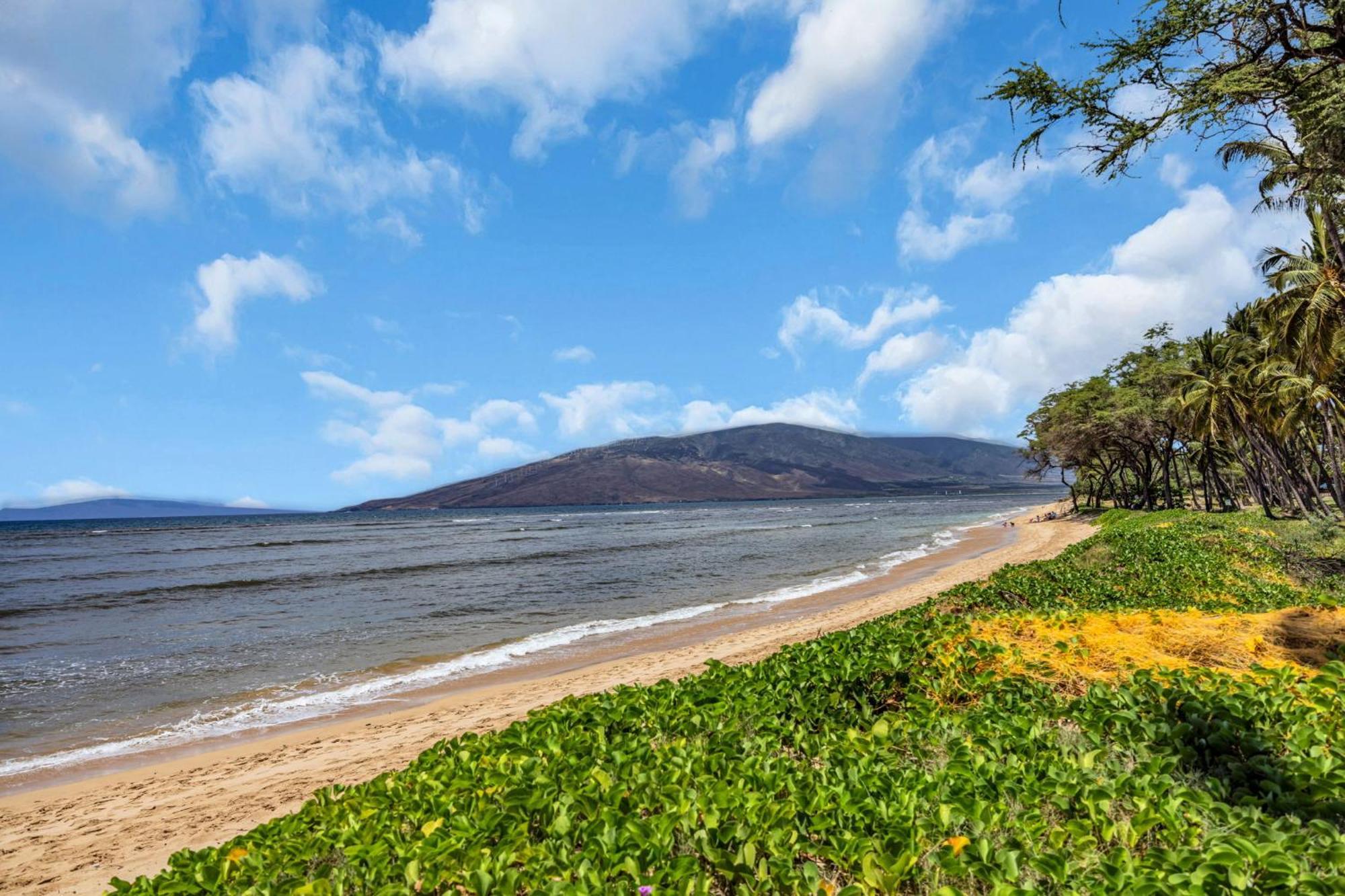 Hale Kai O'Kihei 118 Villa Eksteriør billede